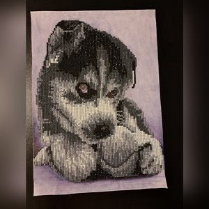 Finished Grey husky puppy diamond painting